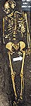 Skeleton from York
