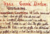 Estratto del Domesday Book per i  paesi di Healaugh e Wighill, North Yorkshire